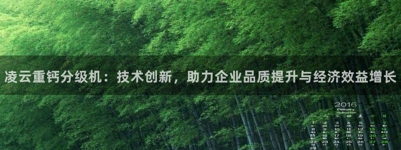 天宏娱乐开业晚宴：凌云重钙分级机：技术创新，助力企业品质提升