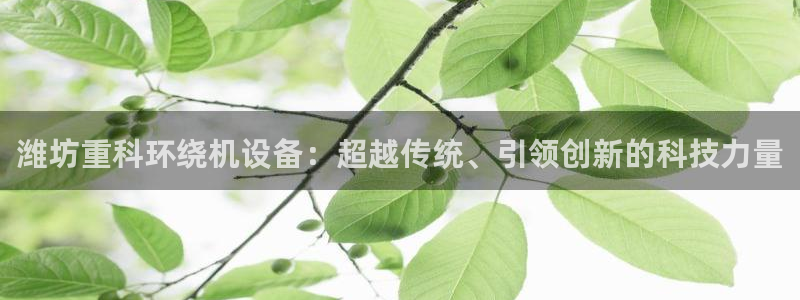 天宏娱乐岁月悠然：潍坊重科环绕机设备：超越传统、引领创新的科