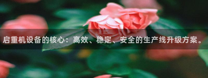 天宏娱乐董事长：启重机设备的核心：高效、稳定、安全的生产线升