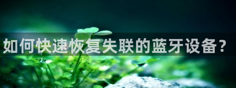天宏娱乐国际会所：如何快速恢复失联的蓝牙设备？