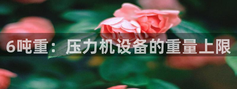 天宏娱乐集团：6吨重：压力机设备的重量上限