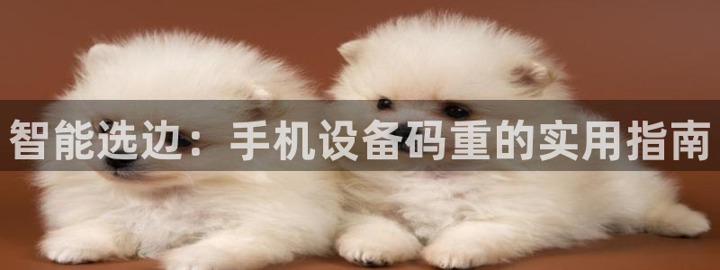 天宏娱乐平台稳么