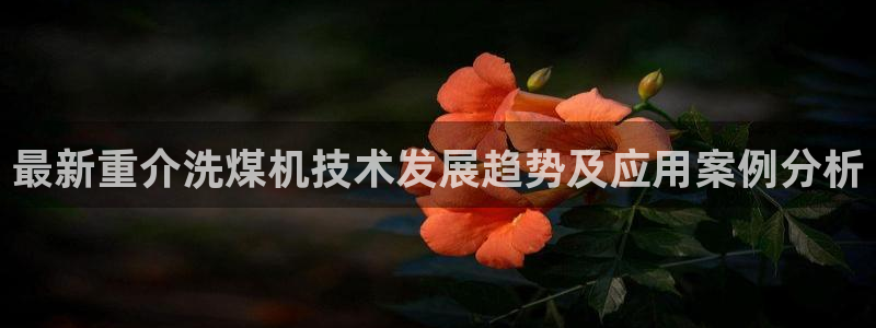 天宏娱乐2000：最新重介洗煤机技术发展趋势及应用案例分析