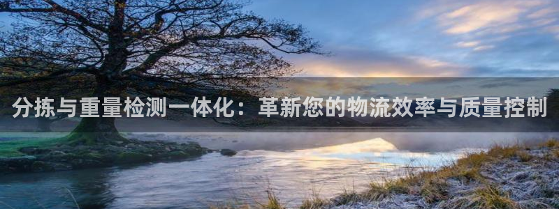 天宏娱乐秦叔：分拣与重量检测一体化：革新您的物流效率与质量控