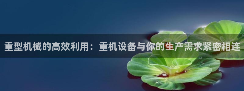 天宏娱乐岁月悠然：重型机械的高效利用：重机设备与你的生产需求