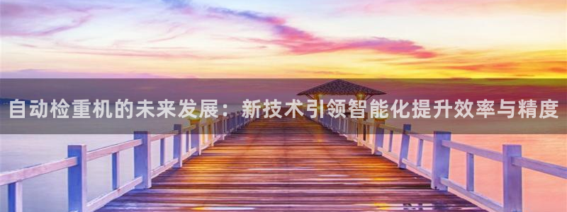 天宏娱乐韩叔：自动检重机的未来发展：新技术引领智能化提升效率