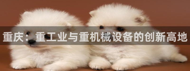 天宏娱乐818：重庆：重工业与重机械设备的创新高地