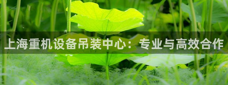 天宏娱乐天府：上海重机设备吊装中心：专业与高效合作