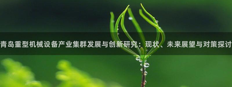 天宏娱乐怎么改号了：青岛重型机械设备产业集群发展与创新研究：