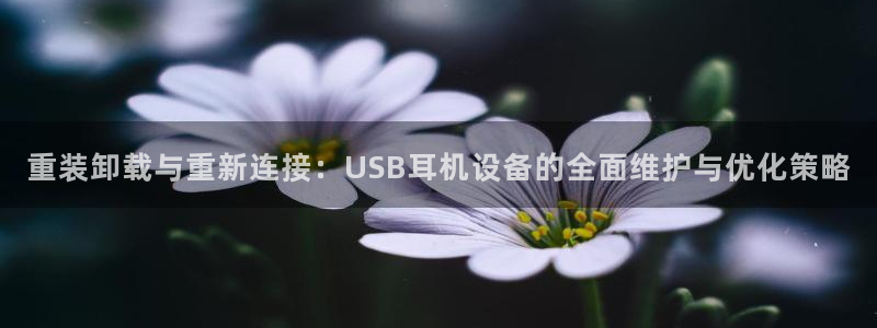天宏娱乐总店：重装卸载与重新连接：USB耳机设备的全面维护与