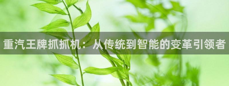 天宏娱乐2主管：重汽王牌抓抓机：从传统到智能的变革引领者