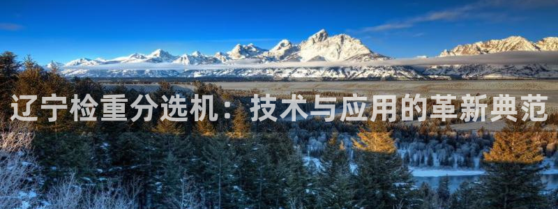 天宏娱乐朱俊伟