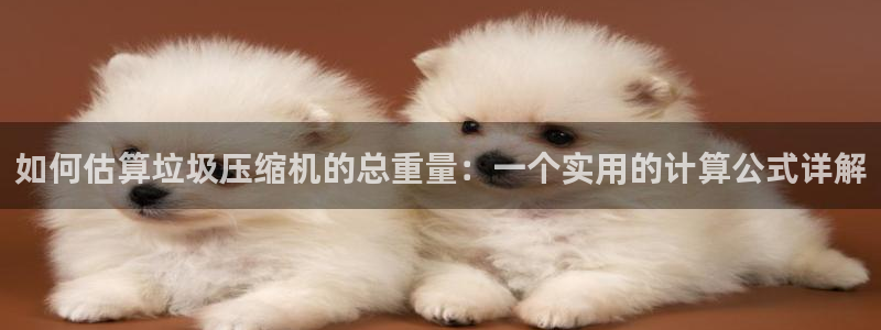 天宏娱乐创始人河源