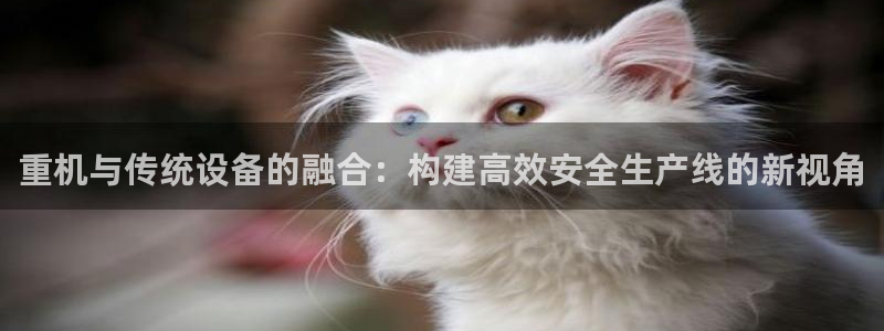 天宏娱乐河源店在哪里