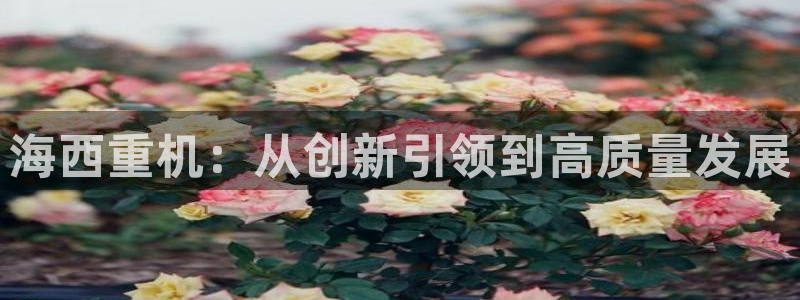 天宏休闲娱乐指数a