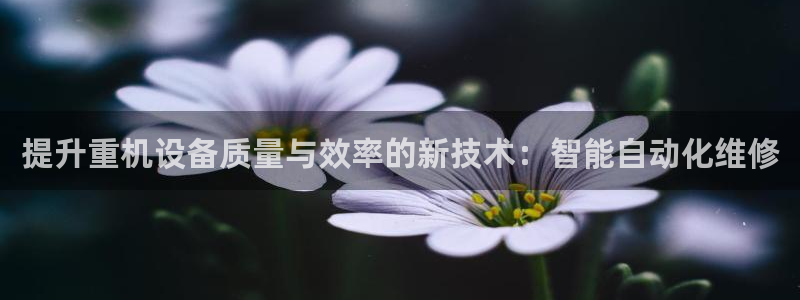 天宏娱乐直播团队介绍