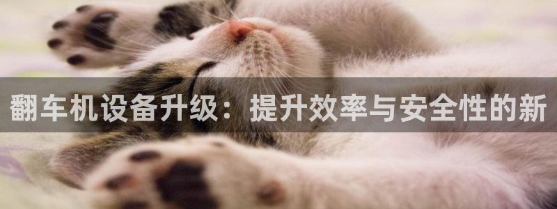 扬州天宏娱乐公司