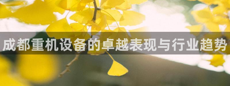 天宏娱乐为什么被骂：成都重机设备的卓越表现与行业趋势