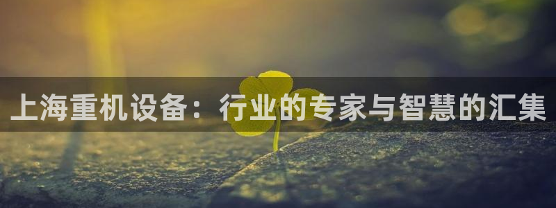 天宏娱乐创始人河源