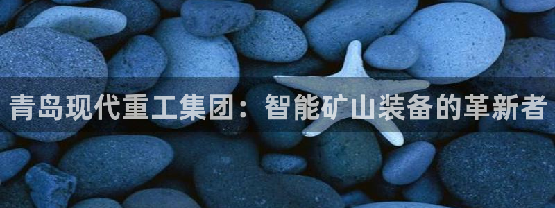 天亿娱乐宏发团队成员