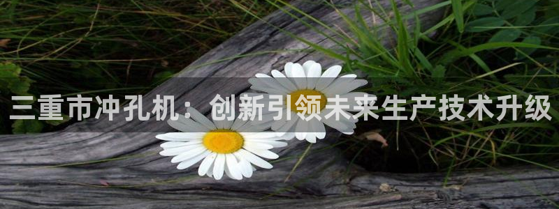 河源天宏娱乐是骗局吗：三重市冲孔机：创新引领未来生产技术升级