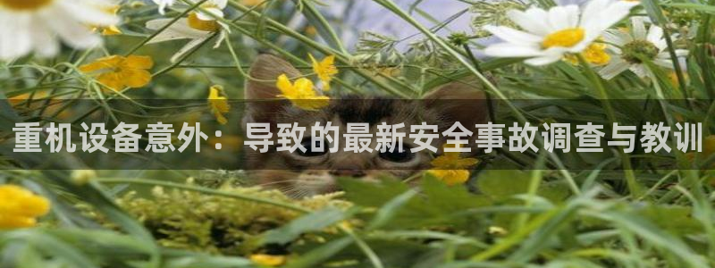 天宏娱乐乐天跃娱乐：重机设备意外：导致的最新安全事故调查与教