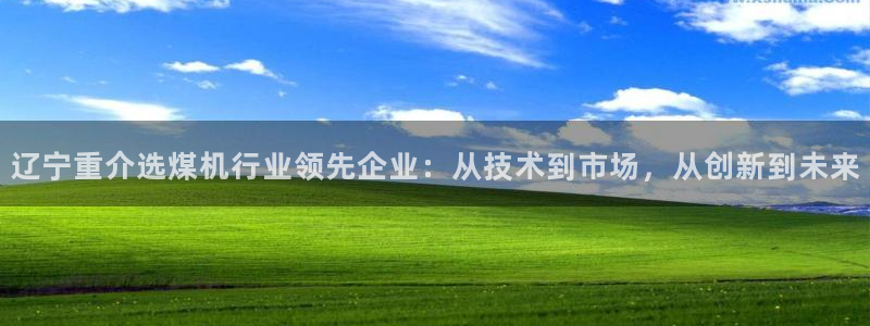 天宏娱乐开业晚宴：辽宁重介选煤机行业领先企业：从技术到市场，
