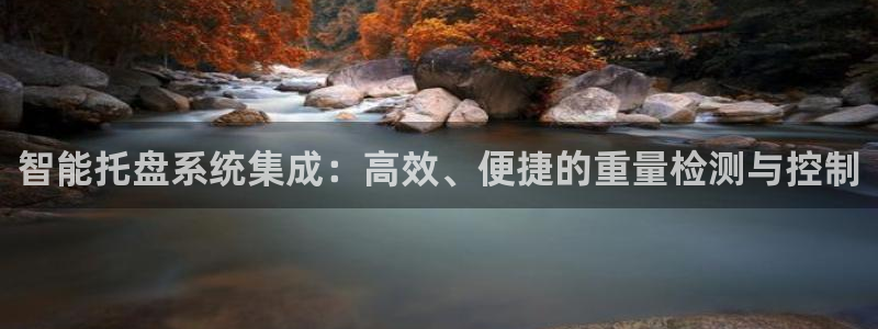 东莞天宏娱乐：智能托盘系统集成：高效、便捷的重量检测与控制