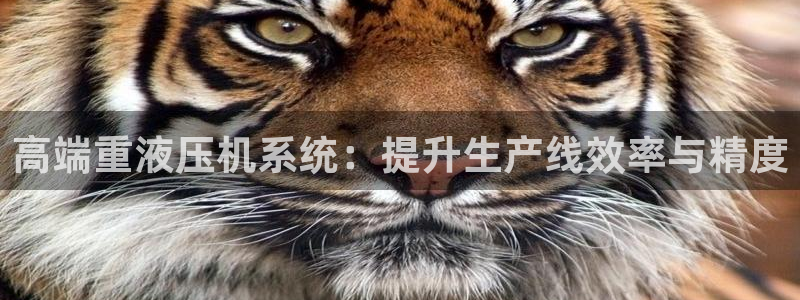 天宏娱乐官网：高端重液压机系统：提升生产线效率与精度