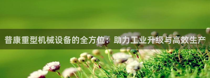 天宏娱乐直播直播间：普康重型机械设备的全方位：助力工业升级与