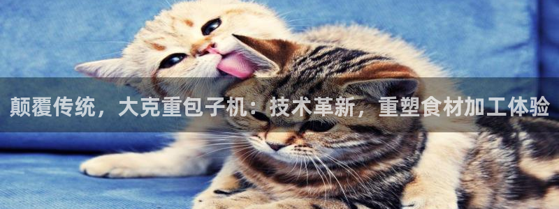 天宏娱乐老男孩直播：颠覆传统，大克重包子机：技术革新，重塑食