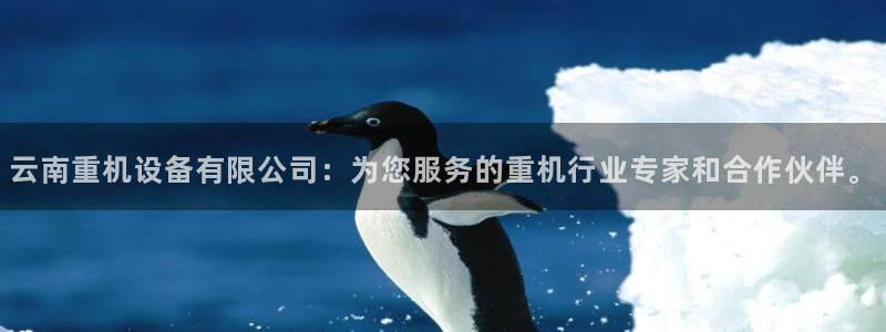 天宏娱乐钟叔