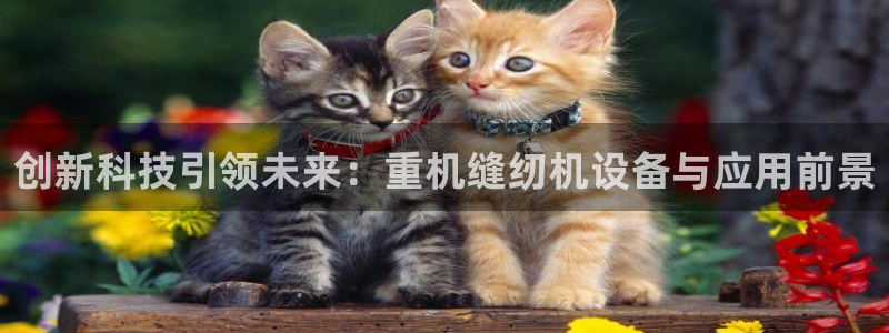 天宏娱乐是骗局吗