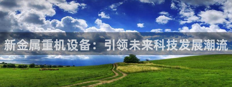 天宏娱乐金大叔