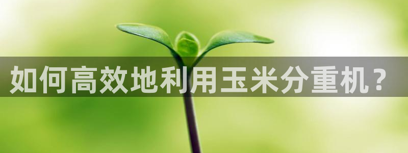 天宏娱乐大叔团队介绍