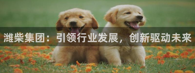 天宏娱乐平台登录