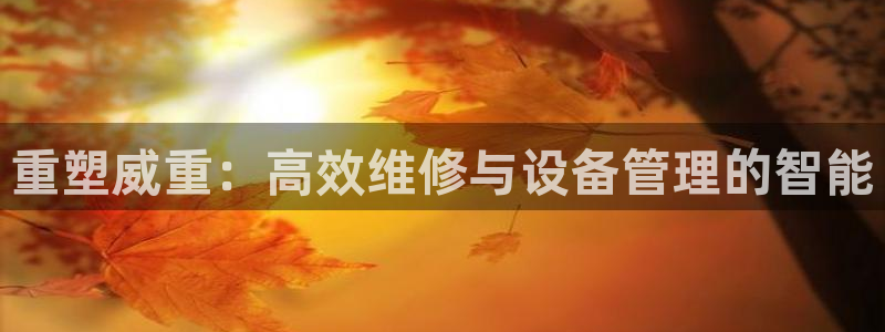 天宏娱乐32937股东