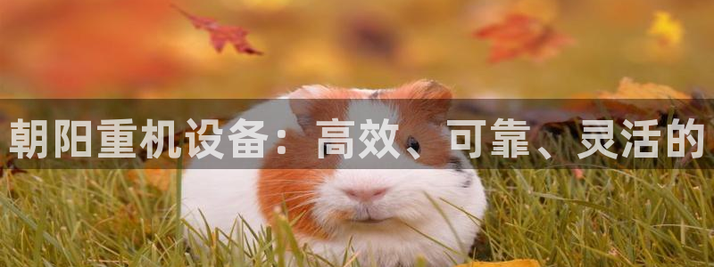 宏天娱乐会所电话