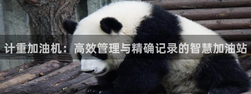 天宏娱乐创始人