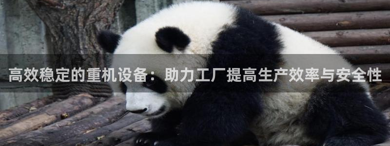 天宏娱乐 直播间怎么进