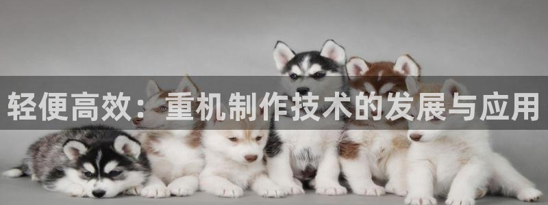 秦皇岛新闻宏天娱乐