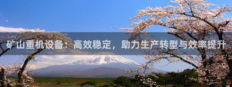 天宏娱乐董事长简历