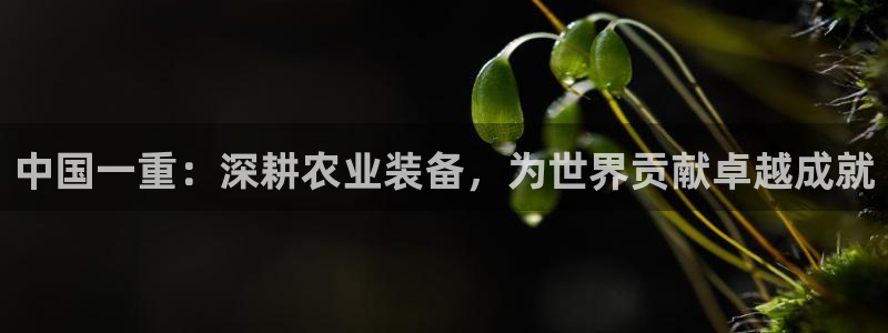 天宏娱乐探索无限空间