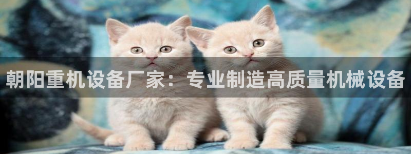 天宏娱乐大叔团成员