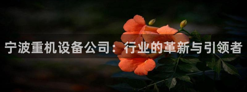 天宏娱乐j 判官