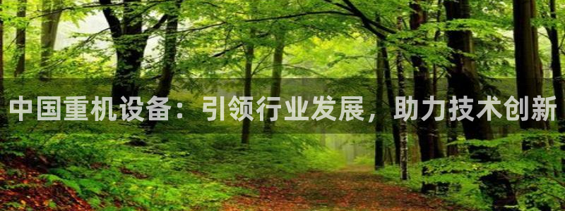 广州宏创天美娱乐文化：中国重机设备：引领行业发展，助力技术创