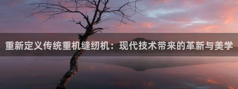 天宏娱乐套钱：重新定义传统重机缝纫机：现代技术带来的革新与美