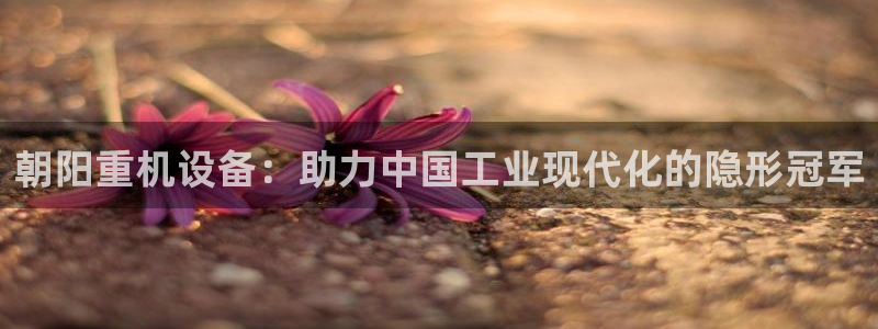 天宏3娱乐注册开户：朝阳重机设备：助力中国工业现代化的隐形冠