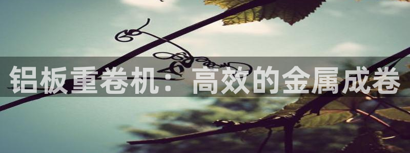 天宏娱乐的老板是谁