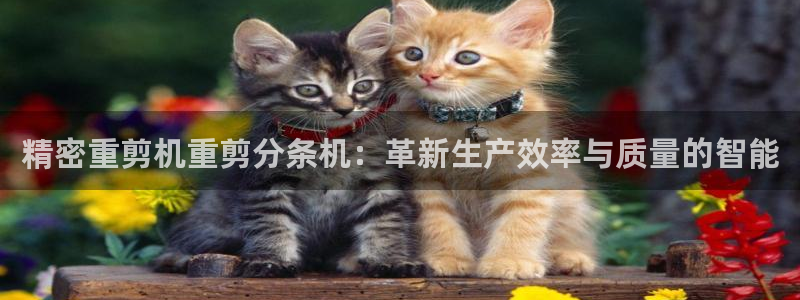 天宏娱乐倒闭了吗最近